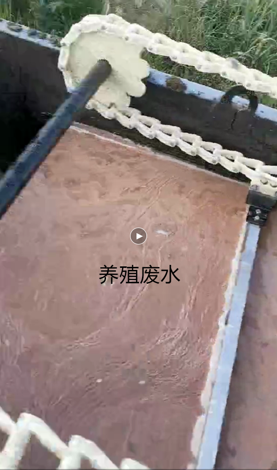 1000頭養豬場污水處理方案